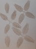 RT-Diorama 35619 Fern No.2 1/35
